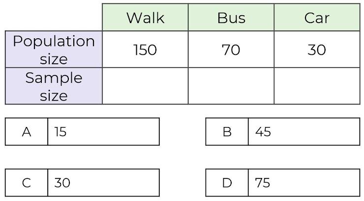 An image in a quiz