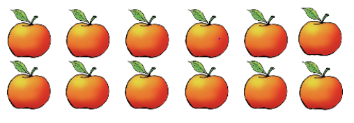 An image in a quiz