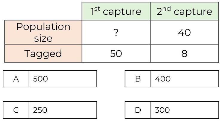An image in a quiz
