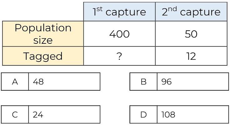 An image in a quiz