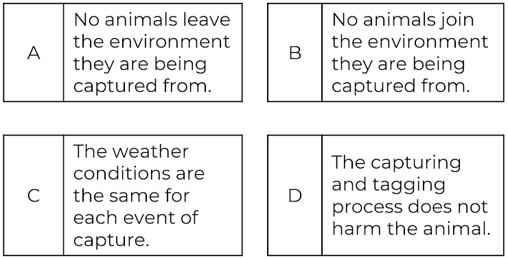 An image in a quiz