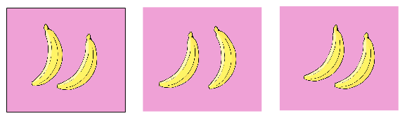 An image in a quiz