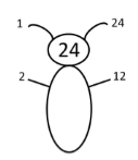 An image in a quiz