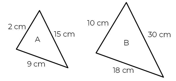 An image in a quiz
