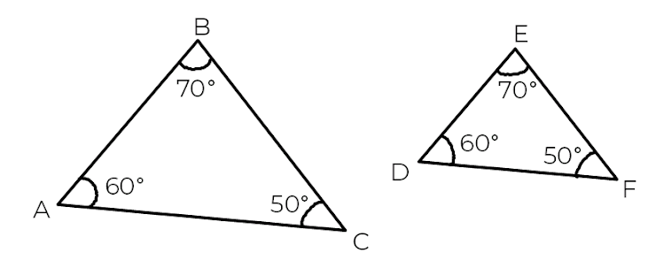 An image in a quiz
