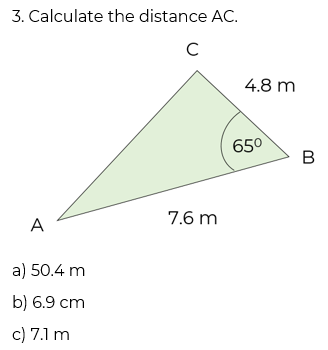An image in a quiz