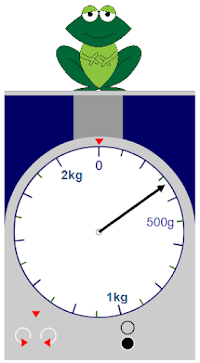 An image in a quiz