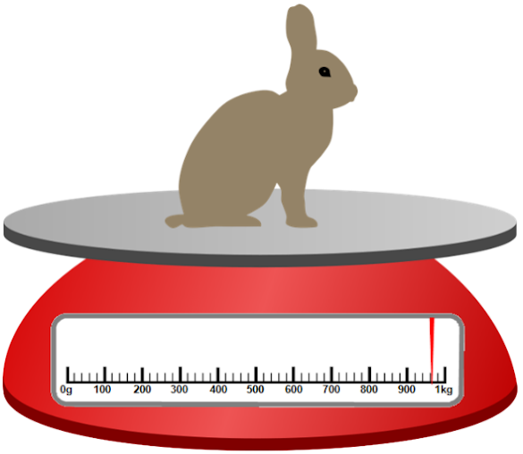 An image in a quiz