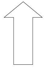 An image in a quiz