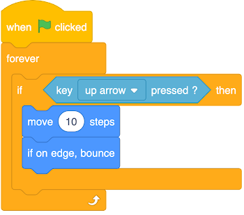 An image in a quiz