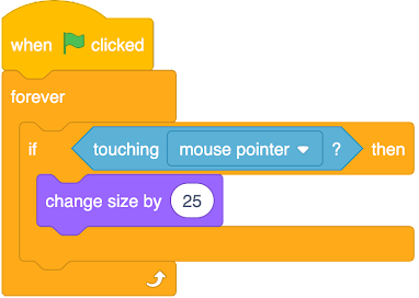 An image in a quiz