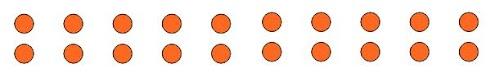 An image in a quiz