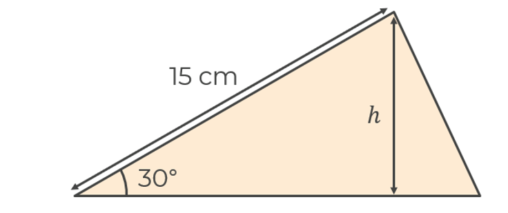 An image in a quiz