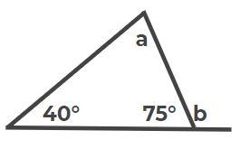 An image in a quiz