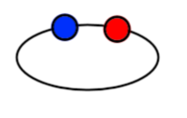 An image in a quiz