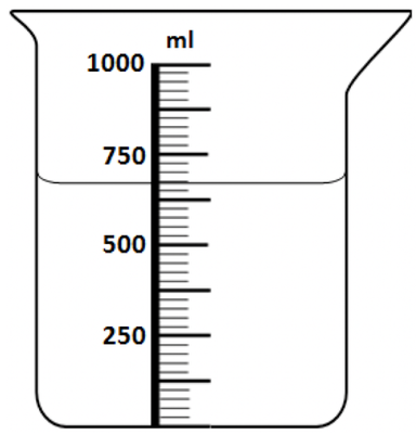 An image in a quiz
