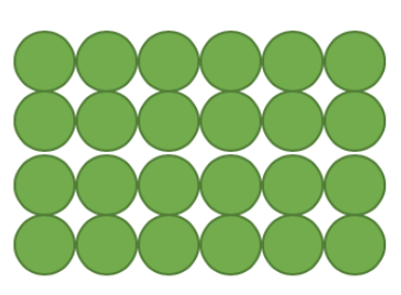 An image in a quiz