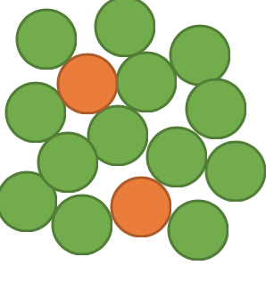 An image in a quiz