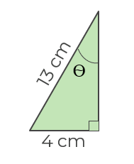 An image in a quiz