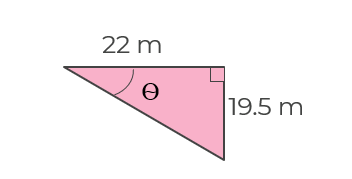 An image in a quiz