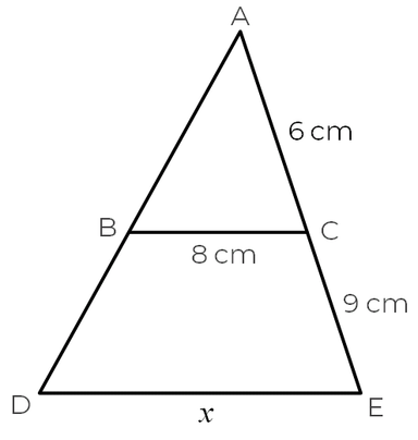 An image in a quiz