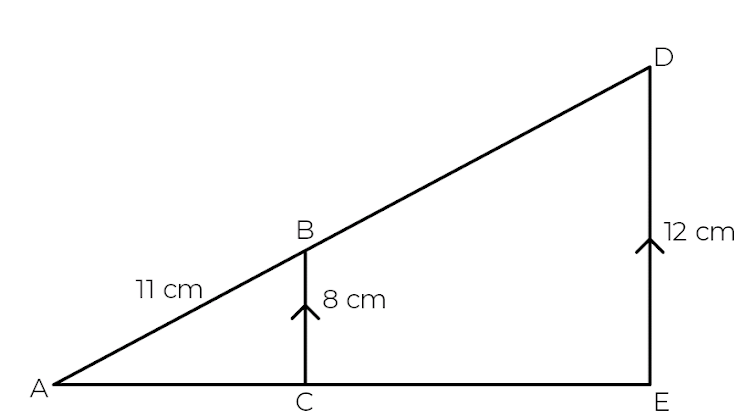 An image in a quiz