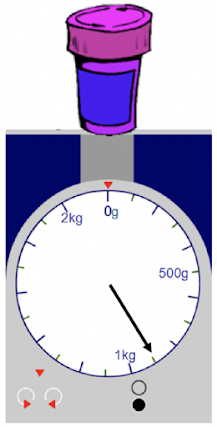 An image in a quiz