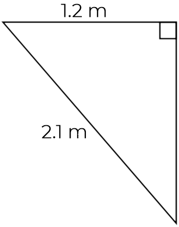 An image in a quiz