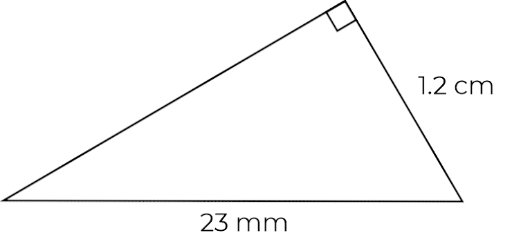 An image in a quiz