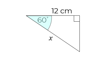 An image in a quiz
