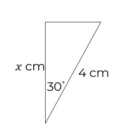 An image in a quiz
