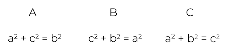 An image in a quiz