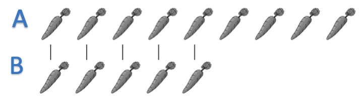An image in a quiz