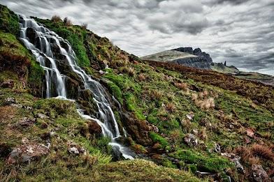 An image in a quiz