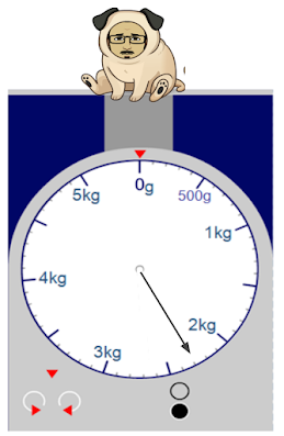 An image in a quiz