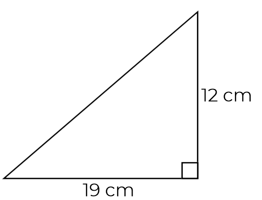 An image in a quiz