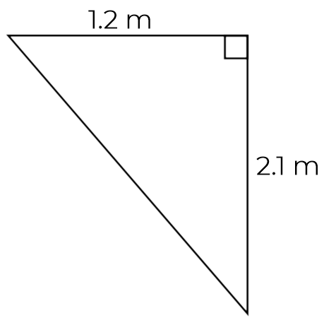 An image in a quiz