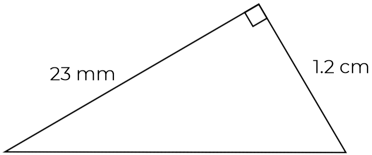 An image in a quiz