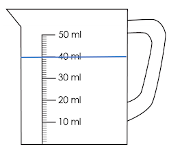 An image in a quiz