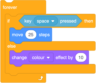 An image in a quiz