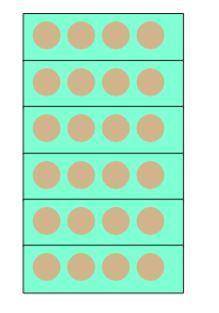 An image in a quiz