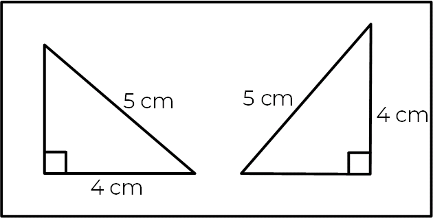 An image in a quiz