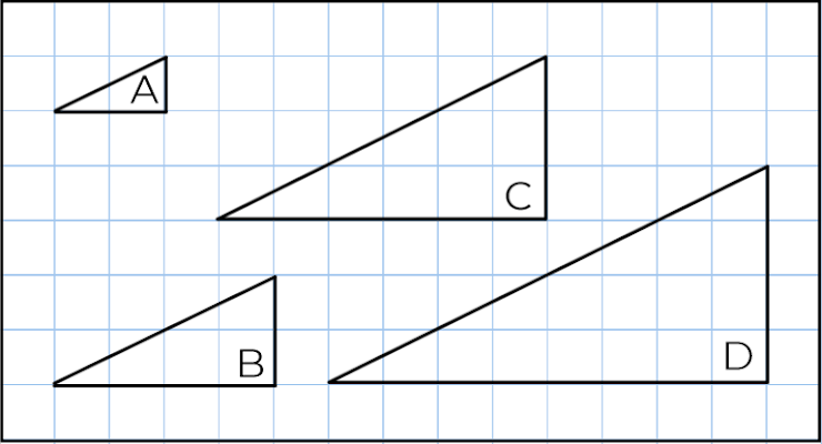 An image in a quiz