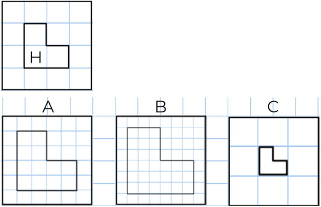 An image in a quiz