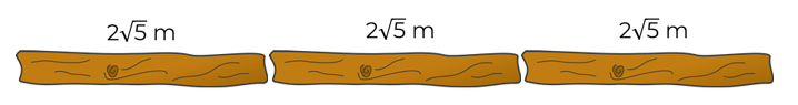 An image in a quiz