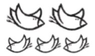An image in a quiz
