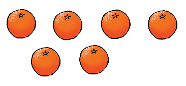 An image in a quiz