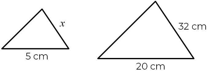 An image in a quiz