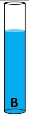 An image in a quiz