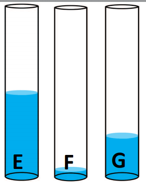 An image in a quiz